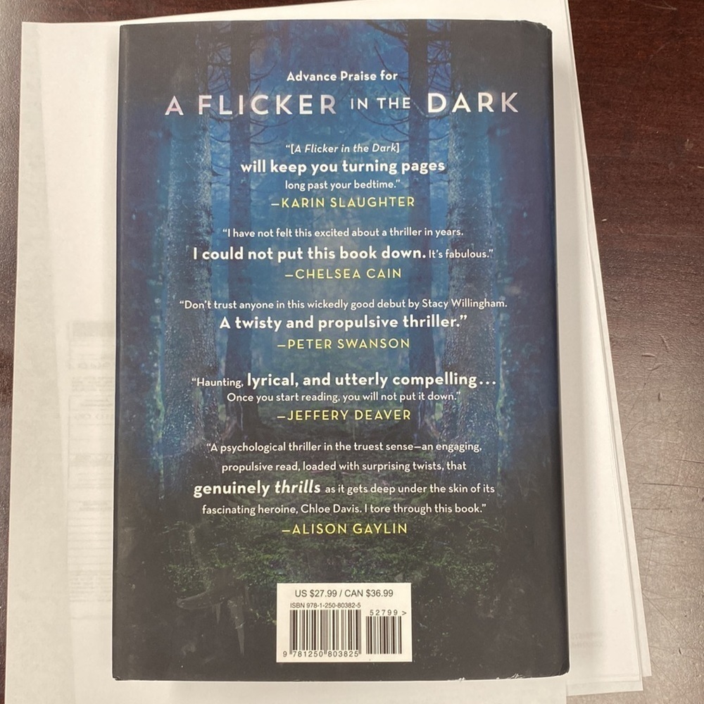 A Flicker in the Dark by Stacy Willingham - Picture 4 of 4
